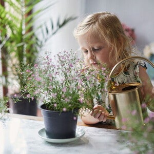 Niña pequeña regando plantas con una regadora.