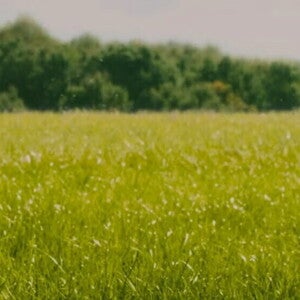 Nuestras Marcas y Productos