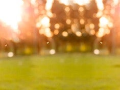 Calculadora de Alergias