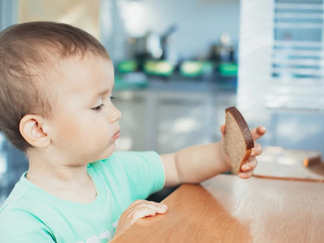 Cómo saber si mi bebé es celíaco Niño pequeño sentado en una mesa de madera en la cocina, con camiseta verde, sosteniendo una rebanada de pan integral.