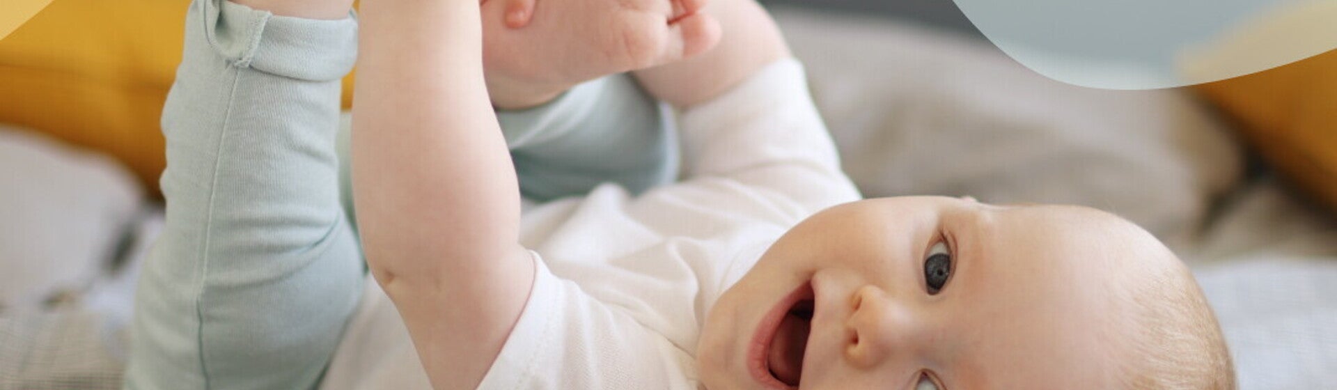 4 a 6 meses 4 a 6 meses