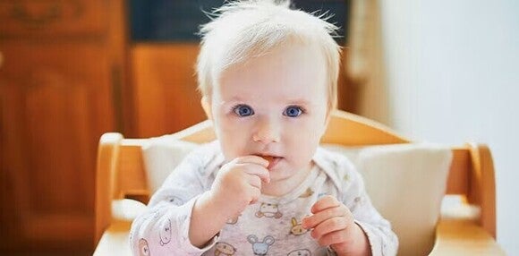 Niña comiendo galletas sola.